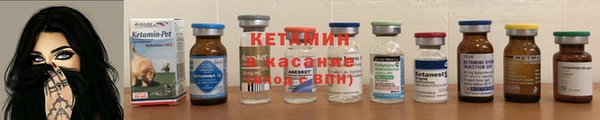 крисы Баксан